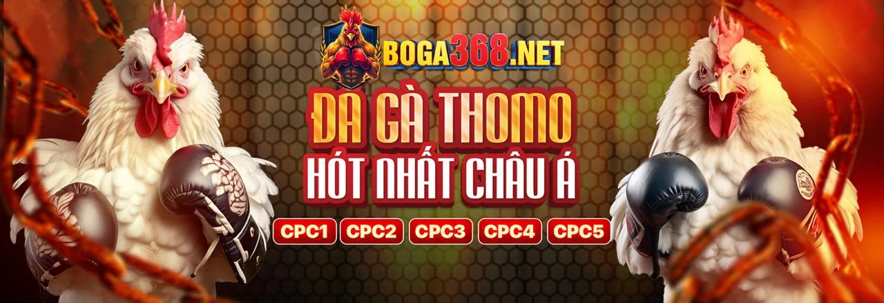 Ảnh bìa blog 3king chính thức